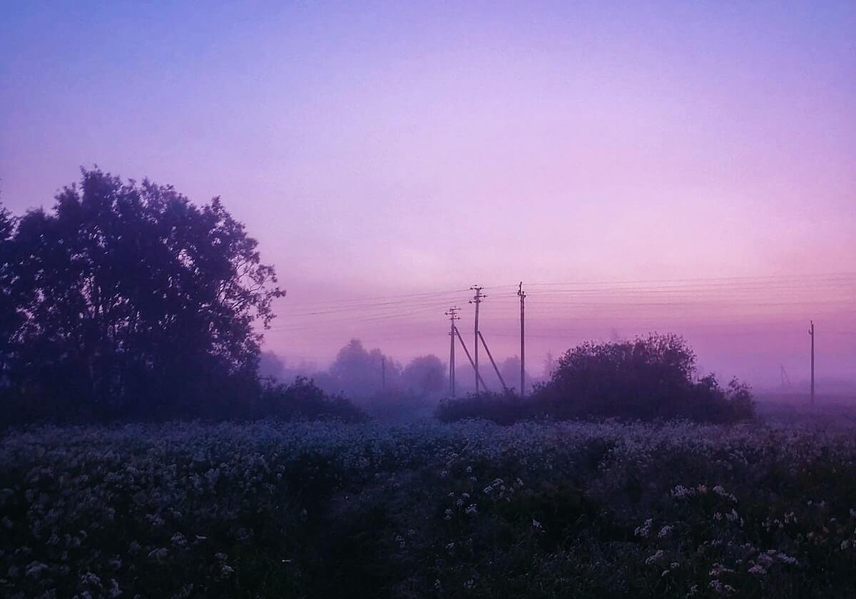 半岛体育APP——让每一场比赛都触手可及